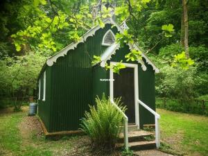 Quaint Woodland Chapel Hampshire