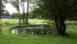 Rural Farmstead and Outdoor Stage